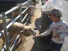 IMG_7176.JPG